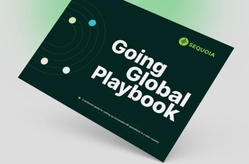 New Heights, New Challenges: The Global Expansion Playbook